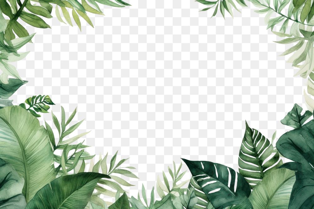 PNG Minimal tropical leaves border outdoors nature plant.