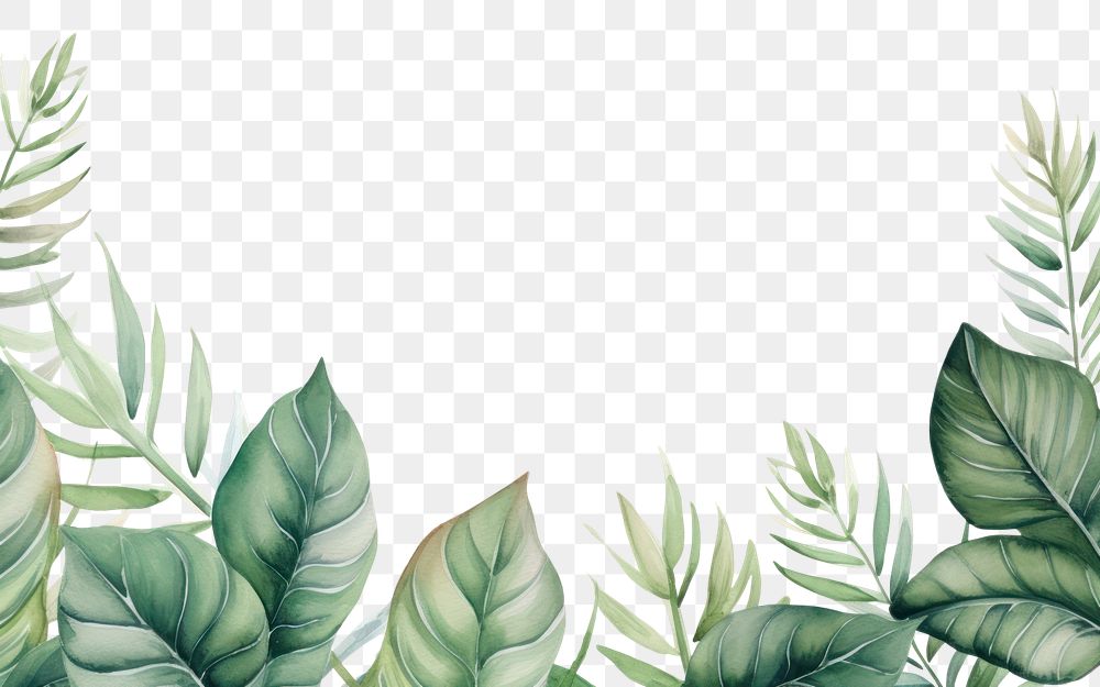 PNG Pastel tropical leaves border pattern nature plant.