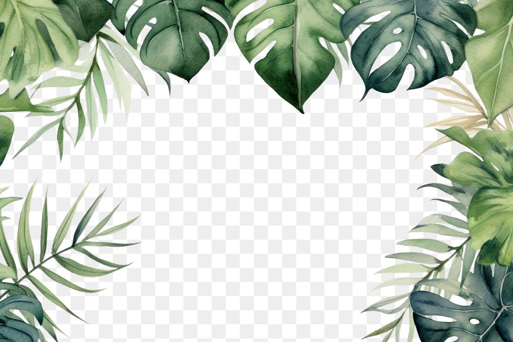 PNG Tropical leaves animal border outdoors tropics nature.