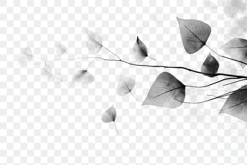 PNG Ink leaves backgrounds plant petal. AI generated Image by rawpixel.