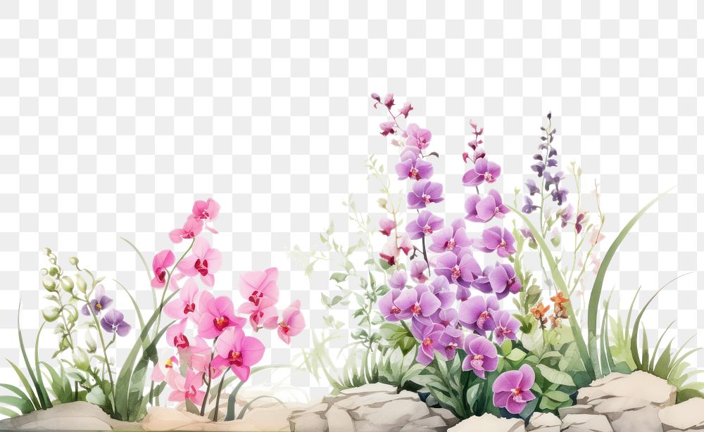 PNG  Minimal orchid garden landscape with shape edge in bottom border flower nature plant.