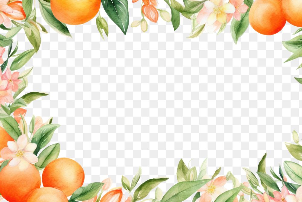 PNG Tangerine fruit plant food.