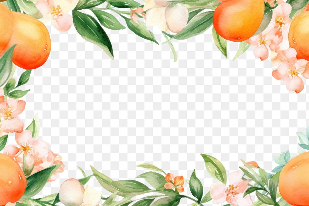 PNG Tangerine painting fruit plant.