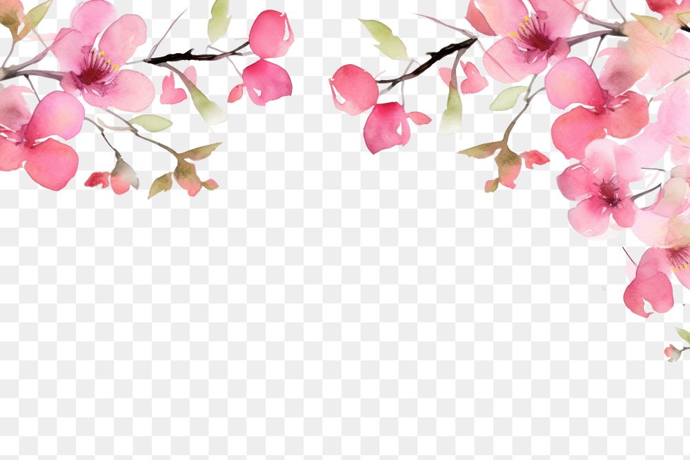 PNG Cute pink flower branch blossom plant petal.
