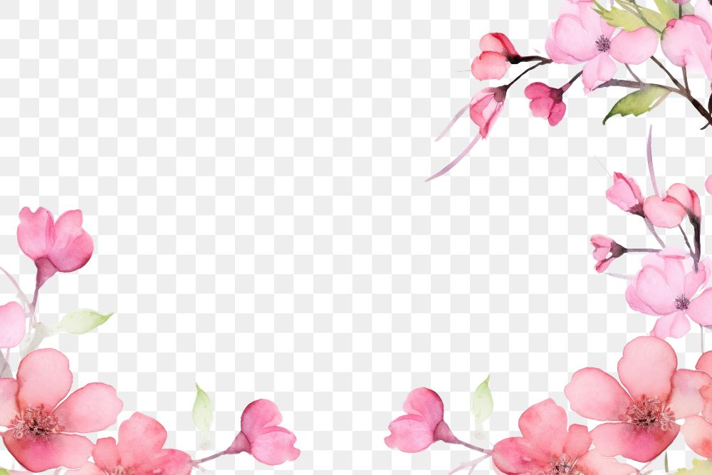 PNG Cute pink flower branch blossom petal plant.