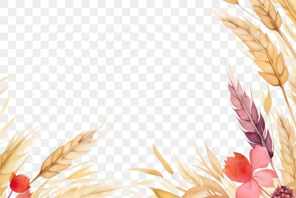 PNG Golden wheat field pattern backgrounds graphics.