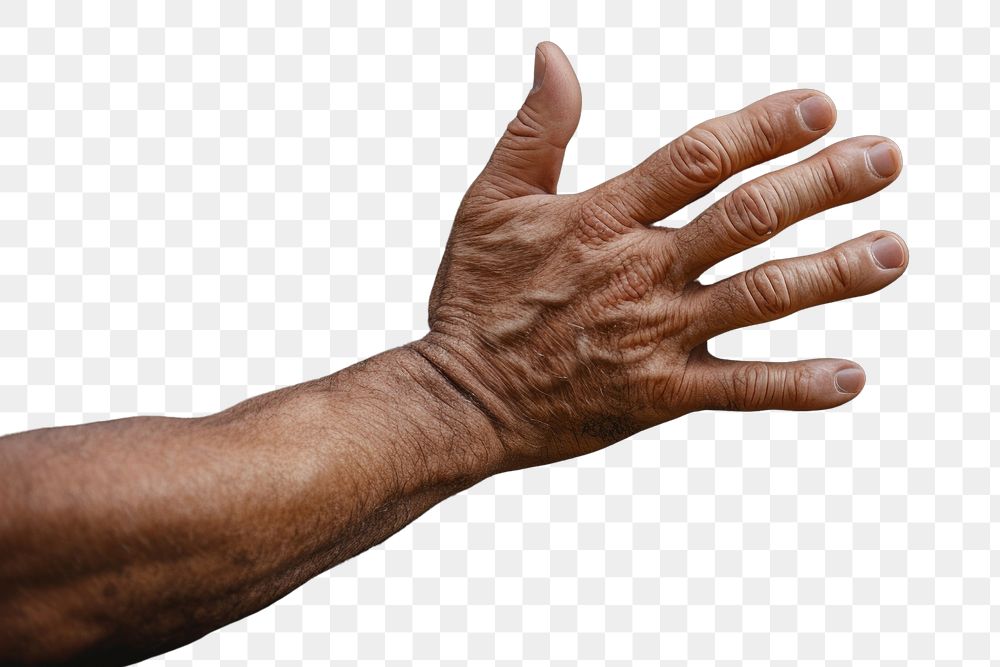 PNG Hand nature finger adult.