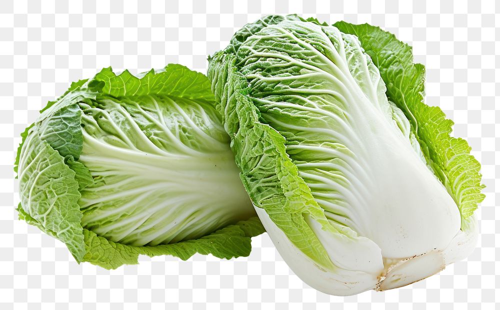 PNG Chinese cabbage vegetable plant food.