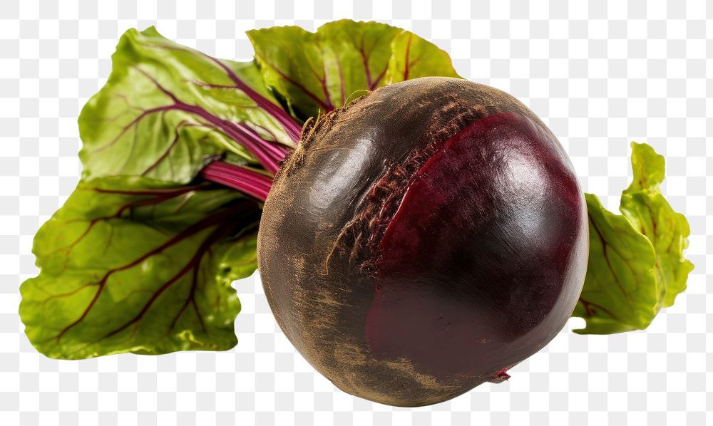 PNG  Beetroot individual vegetable plant food. AI generated Image by rawpixel.