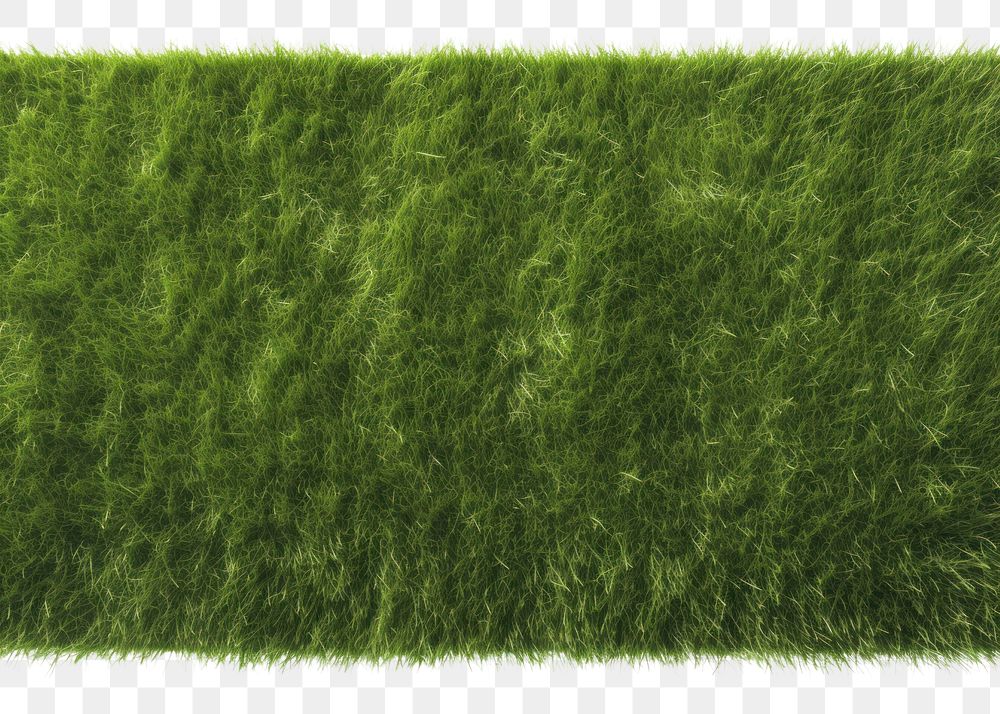 PNG Grass soccer field with white pattern lines grass backgrounds plant.