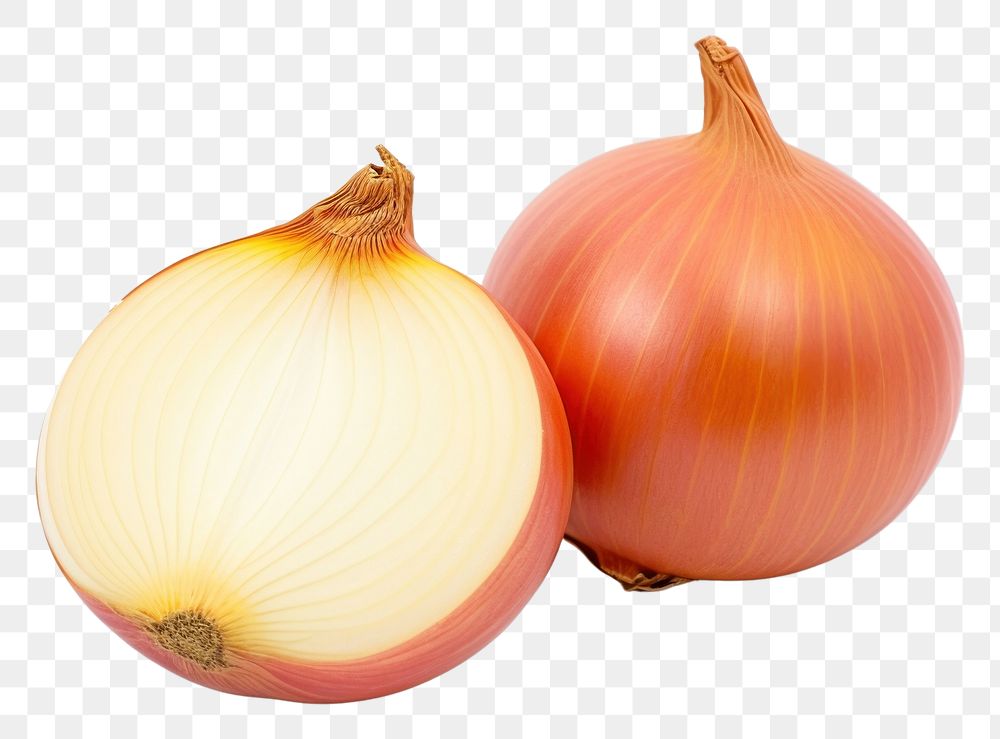 PNG Red and gold 2 onion vegetable shallot plant.