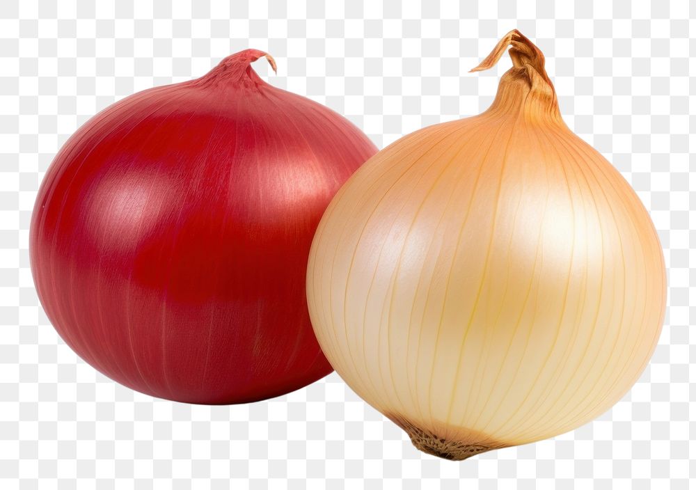 PNG Red and gold 2 onion vegetable shallot plant.