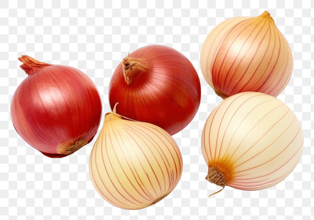 PNG Red and gold onions vegetable shallot plant.