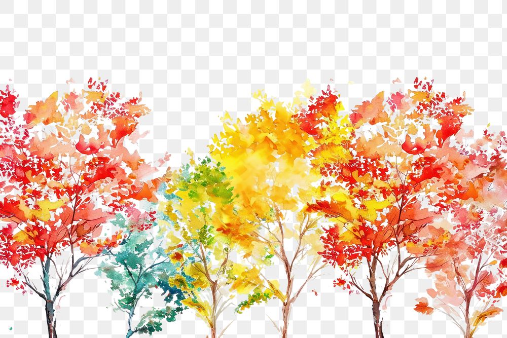 PNG Blooming autumn trees backgrounds outdoors nature.