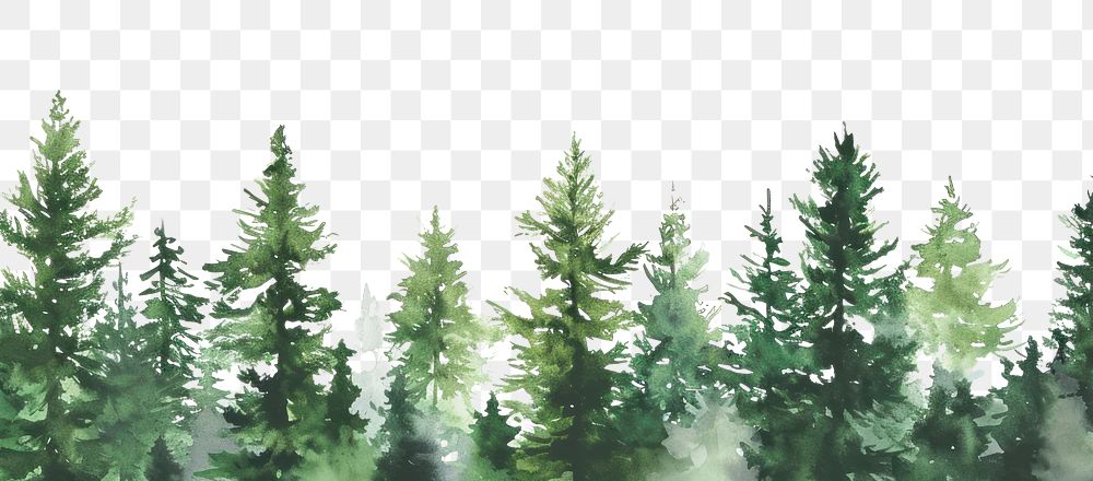 PNG Dark green forest nature backgrounds outdoors.