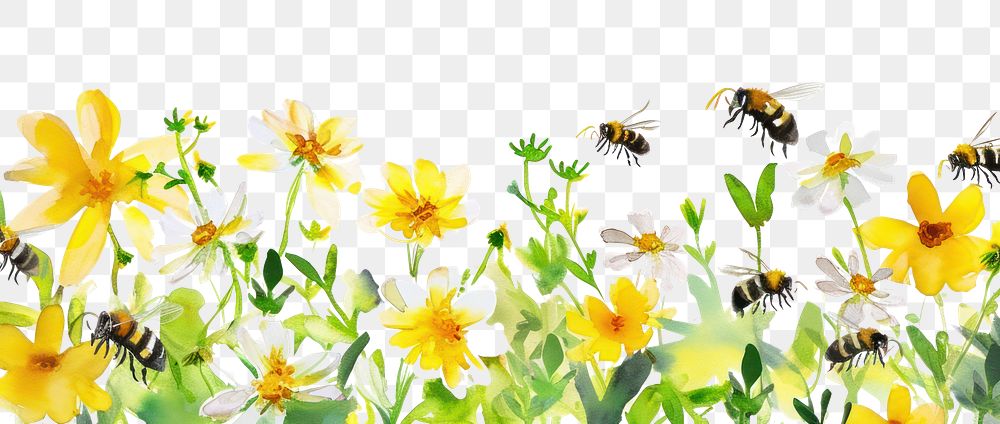 PNG Honey and bees backgrounds outdoors flower.