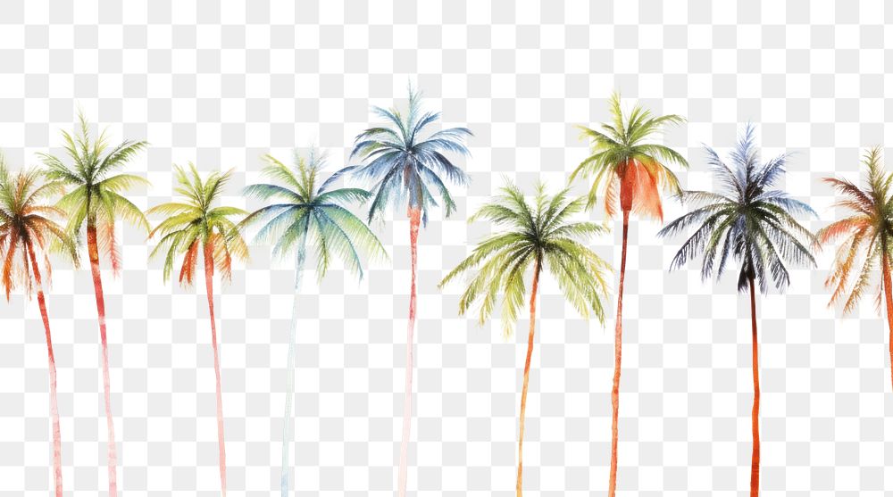 PNG Palm tree nature backgrounds outdoors.