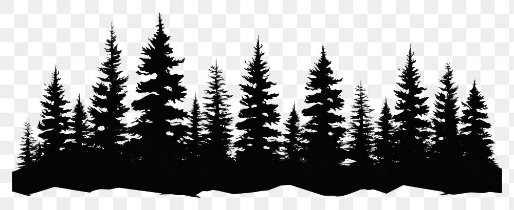 PNG Silhouette of pine trees plant fir white background.