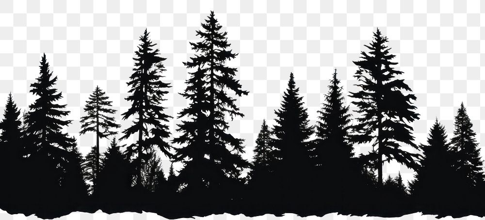 PNG Silhouette pine trees sketch | Premium PNG - rawpixel