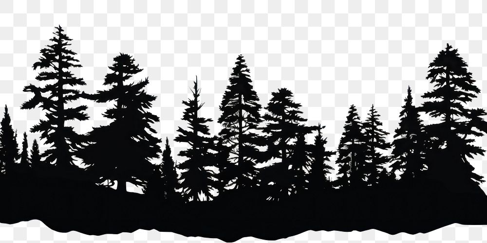 PNG Silhouette of pine trees plant fir white background