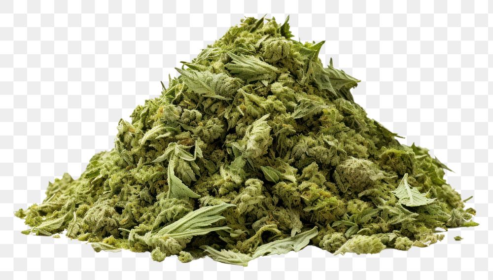 PNG  A pile of crushed cannabis plant herbs white background.