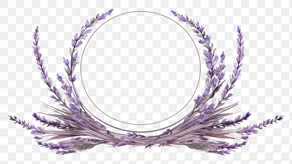 PNG Illustration hand drawn Lavender frame lavender.