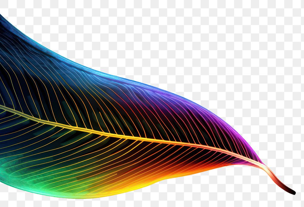 PNG Leaf technology light effect stripe line colorful.