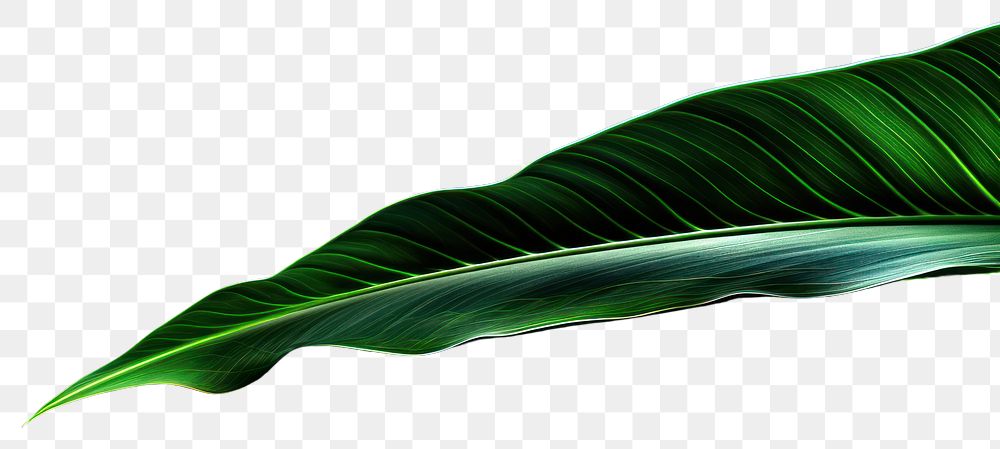 PNG Green leaf technology light effect stripe line.