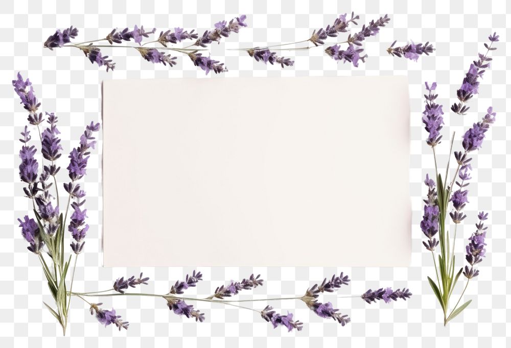 PNG Rectangle frame handmade floral Lavender.