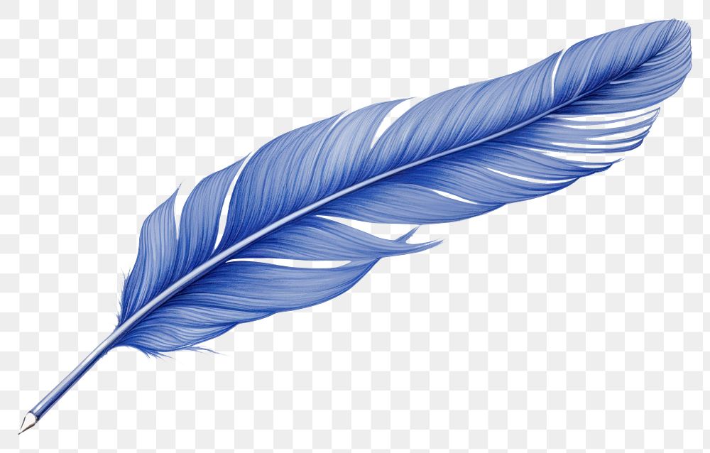 PNG  Drawing feather sketch blue pen.