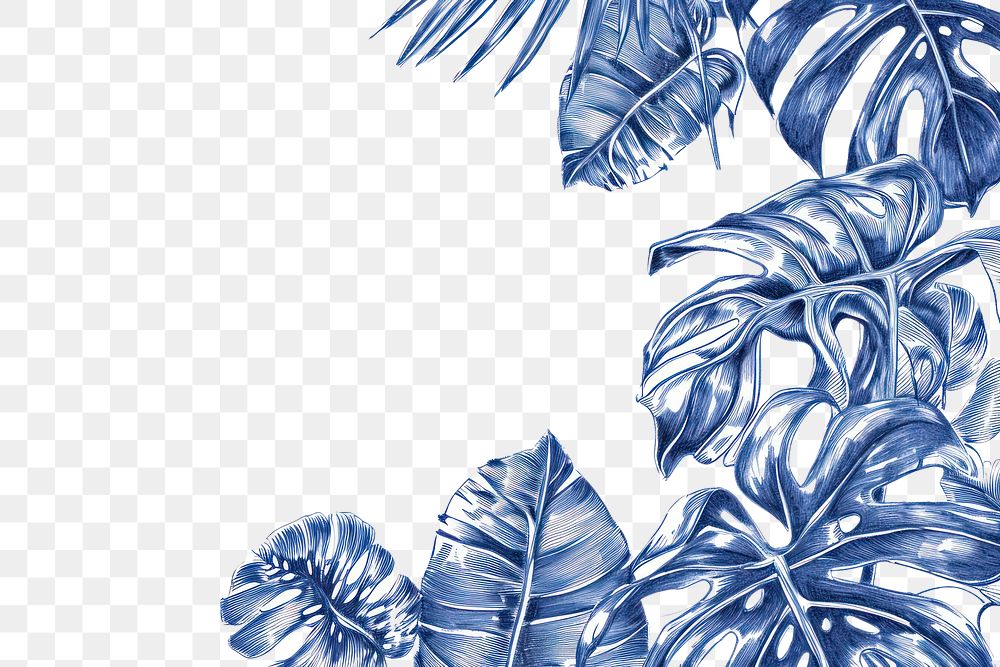 PNG Pattern nature plant leaf.