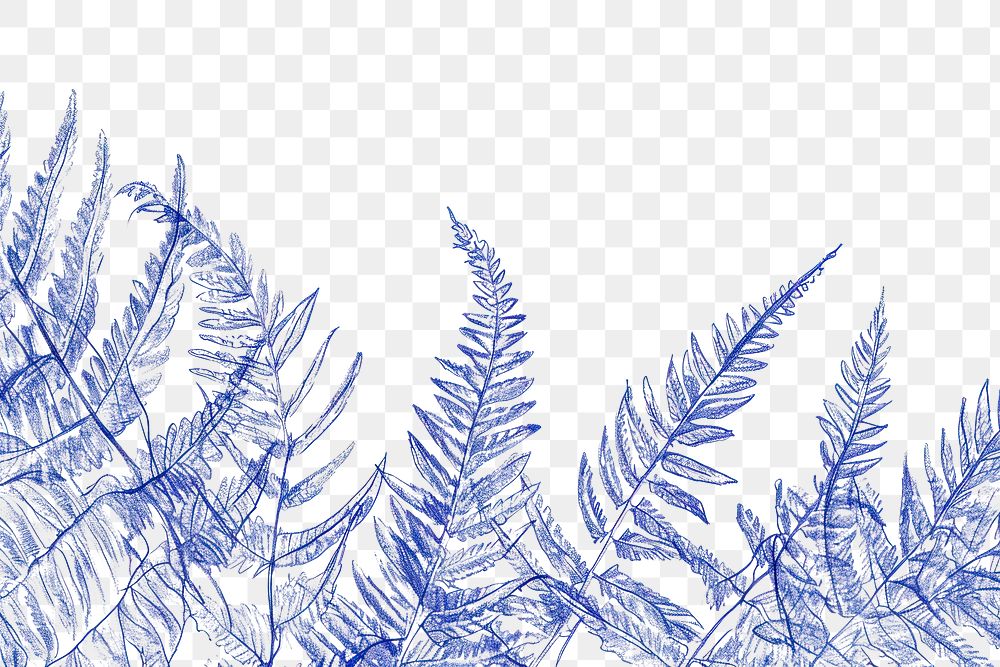 PNG Outdoors nature plant backgrounds.