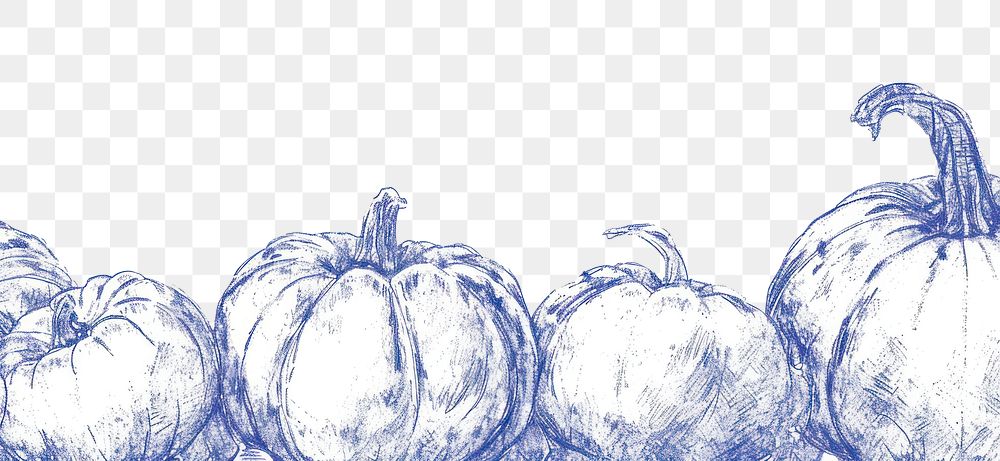 PNG Vegetable pumpkin drawing sketch.