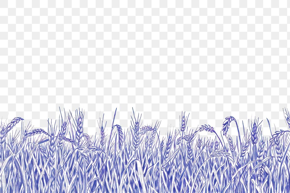 PNG Landscape lavender outdoors nature.