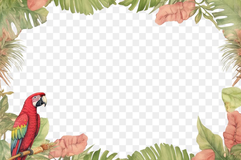 PNG  Realistic vintage drawing of parrot border backgrounds animal plant.