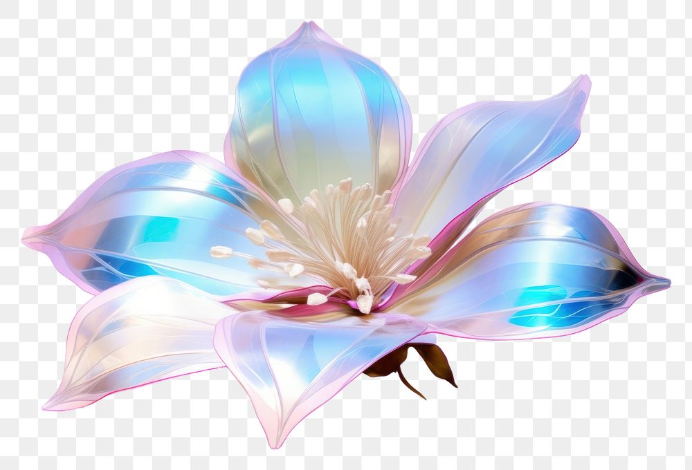 PNG  Flower iridescent jewelry petal plant.