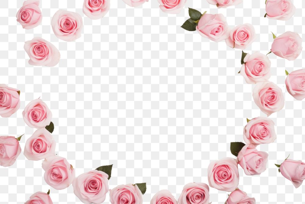 PNG Circle frame floral pink roses backgrounds flower petal.