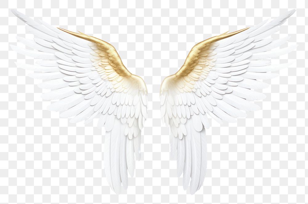 PNG White and gold angle wing angel bird white background. AI generated Image by rawpixel.
