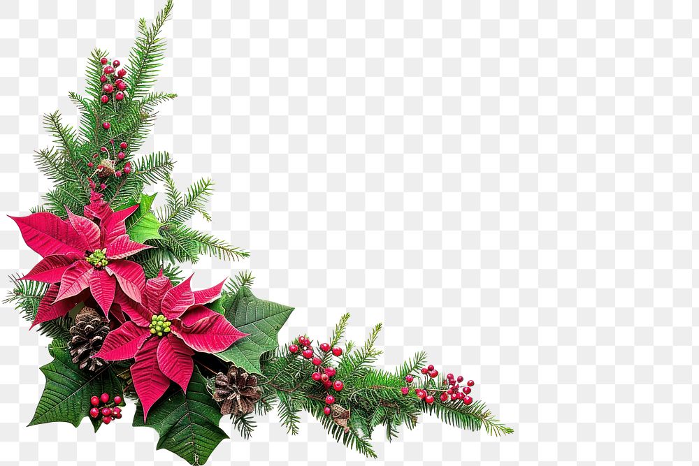 PNG  Christmas corner arrangement christmas flower plant.