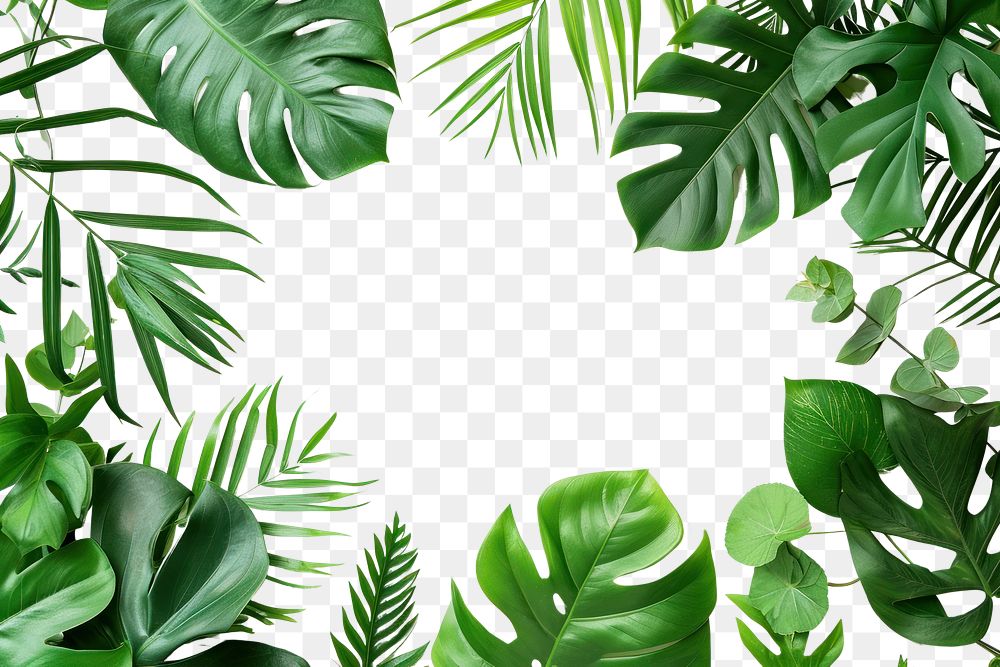 PNG  Decorative green leaves and a card backgrounds nature plant.