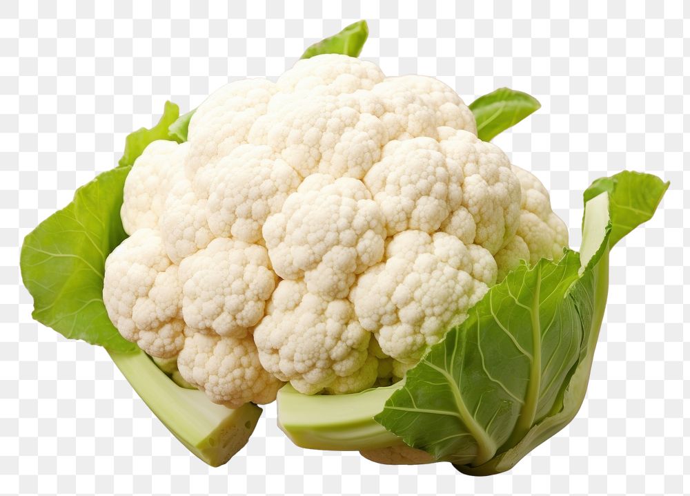 PNG Fresh cauliflower vegetable plant food.