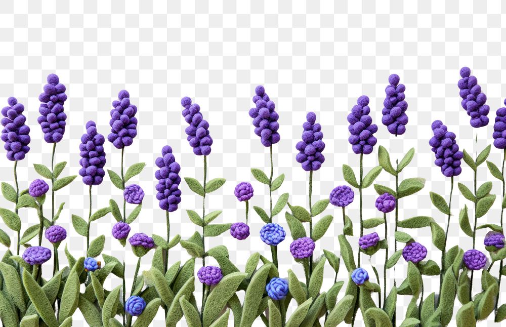 PNG Photo of felt lavender garden backgrounds textile flower.