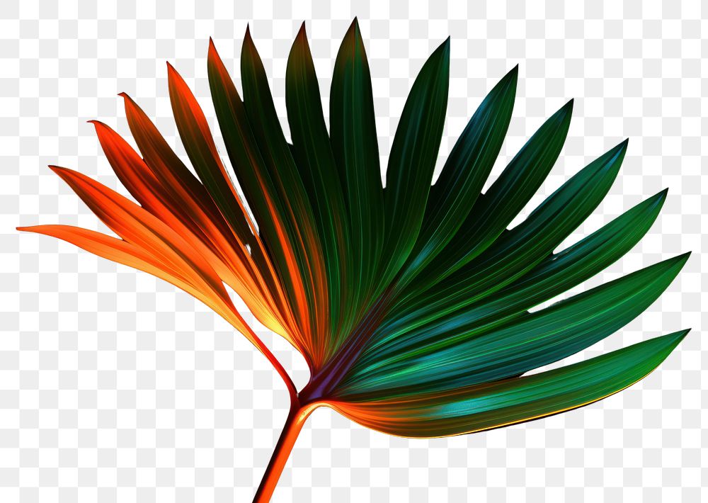 PNG  Neon of green palm leaf plant accessories fragility. AI generated Image by rawpixel.