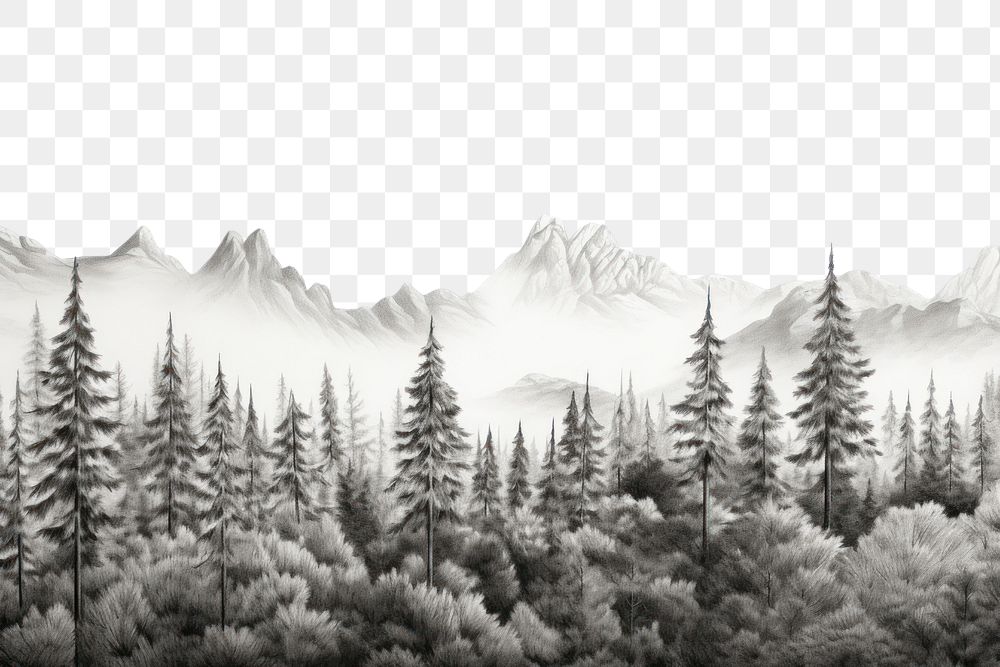 PNG Border graphic of forest and mountain outdoors drawing nature. AI generated Image by rawpixel.