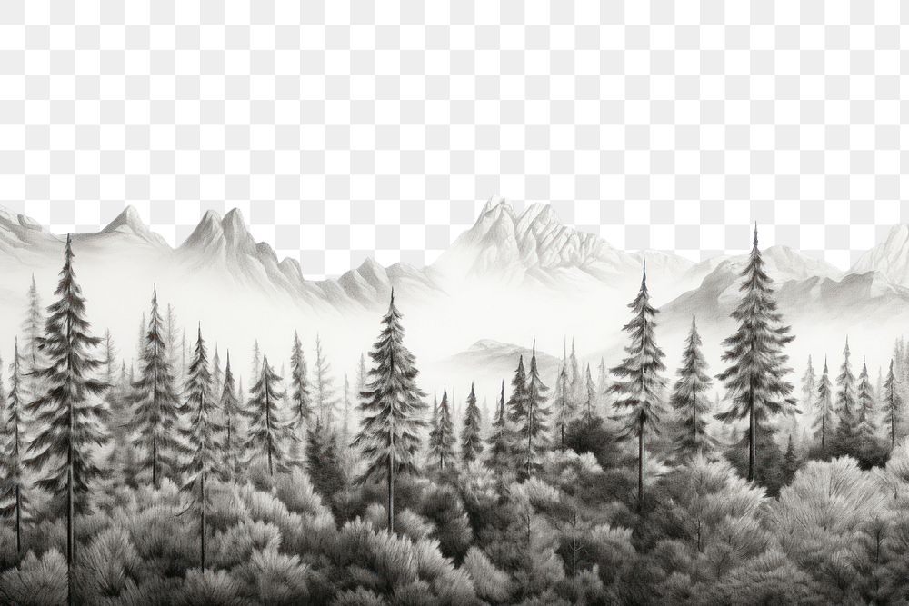 PNG Border graphic of forest and mountain outdoors drawing nature. 