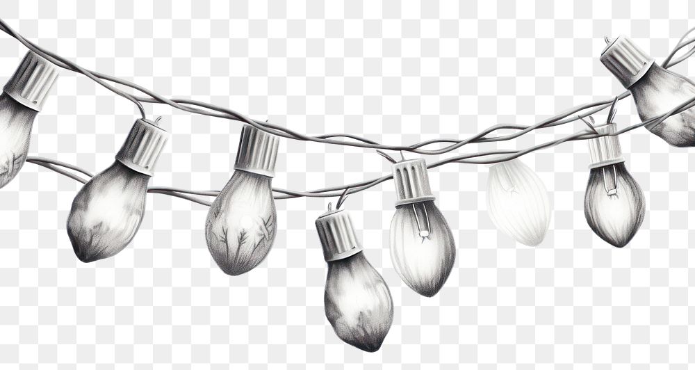 PNG Christmas light lightbulb sketch electricity. AI generated Image by rawpixel.