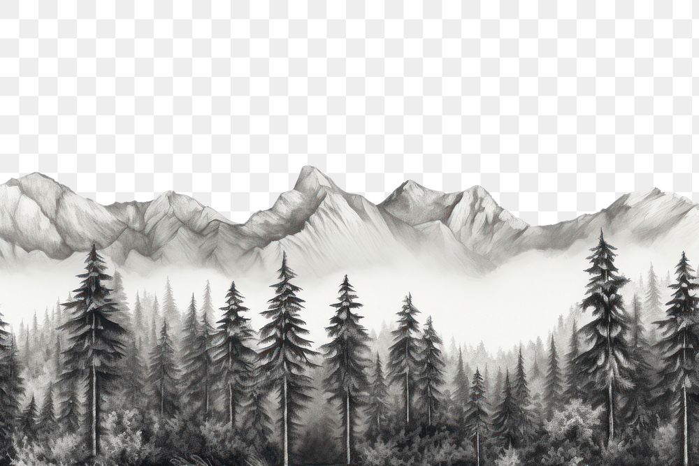 PNG Border graphic of forest and mountain drawing sketch wilderness. AI generated Image by rawpixel.