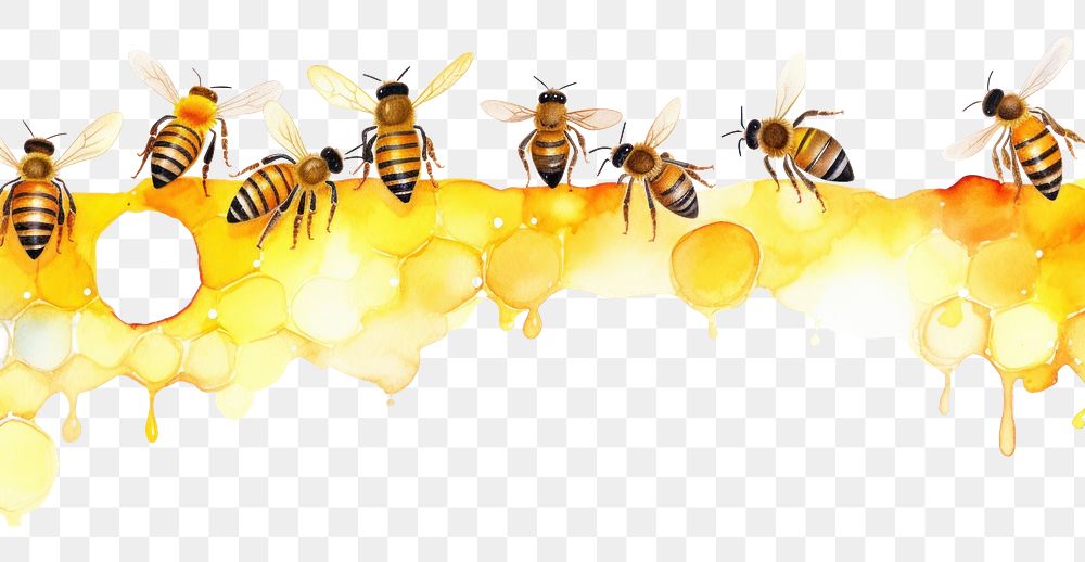 PNG Bees with honey comb border insect animal white background