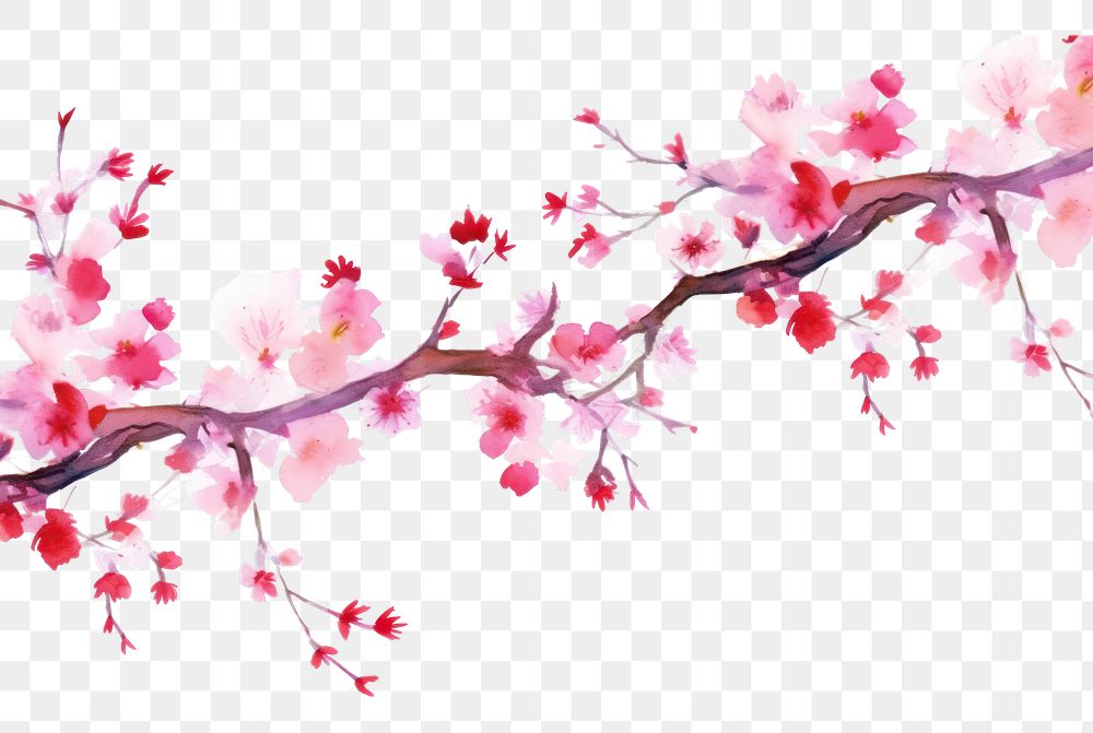 PNG Cherry blossom flowers border plant springtime creativity.