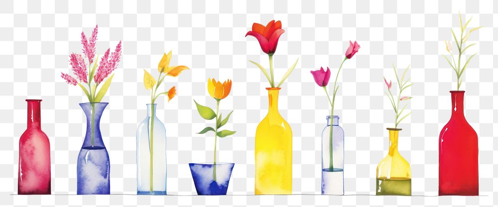 PNG Flower in different kind of vases border glass plant white background.